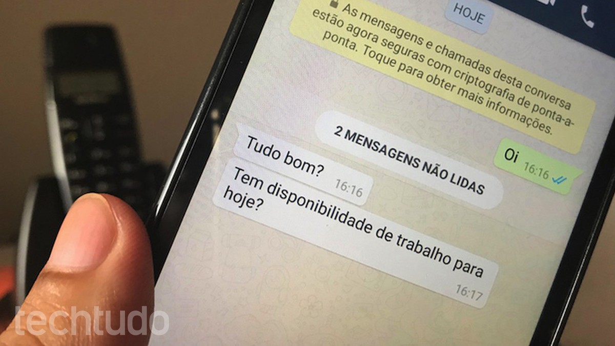 Como cadastrar um telefone fixo no WhatsApp Business – TechTudo