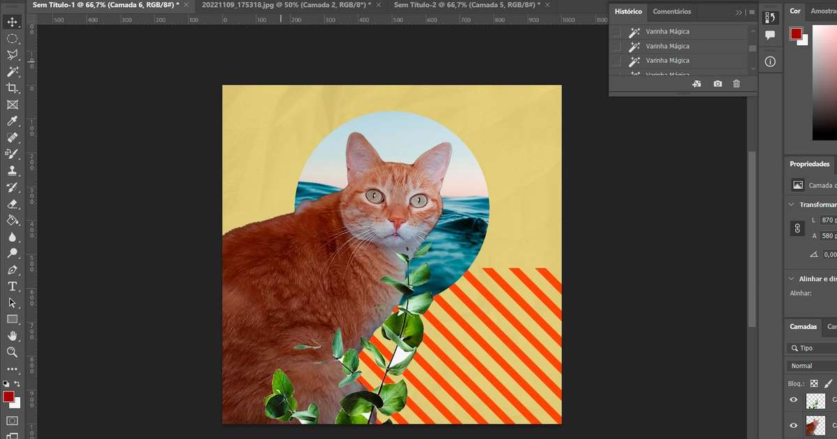 Como fazer uma colagem de fotos no Photoshop – Terra